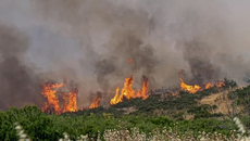 Θεσσαλονίκη: Φωτιά στο Τριάδι Θέρμης – Κοντά σε σπίτια οι φλόγες