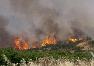 Θεσσαλονίκη: Φωτιά στο Τριάδι Θέρμης – Κοντά σε σπίτια οι φλόγες