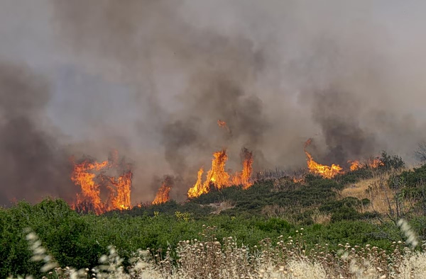 Θεσσαλονίκη: Φωτιά στο Τριάδι Θέρμης – Κοντά σε σπίτια οι φλόγες