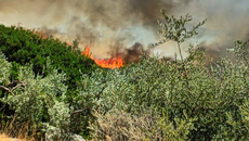 Πολύ υψηλός κίνδυνος πυρκαγιάς σε επτά περιοχές της χώρας