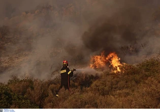 Ιωάννινα: Φωτιά σε δασική έκταση στους Λογγάδες – Διάσπαρτες οικίες στην περιοχή