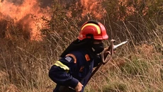 Φωτιά σε δασική δύσβατη περιοχή στη Χρυσούπολη