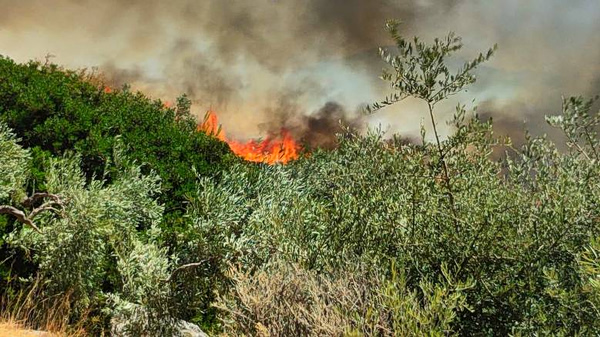 Έβρος: Οριοθετήθηκε η πυρκαγιά σε αγροτική έκταση στα Λάβαρα Σουφλίου