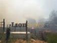 Σέρρες: Φωτιά στην Οινούσσα, μήνυμα για εκκένωση από το 112, κινδυνεύουν σπίτια και επιχειρήσεις