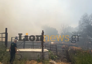 Σέρρες: Φωτιά στην Οινούσσα, μήνυμα για εκκένωση από το 112, κινδυνεύουν σπίτια και επιχειρήσεις