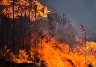 Συναγερμός για φωτιά στη Ρόδο – Στη μάχη της κατάσβεσης και ελικόπτερο