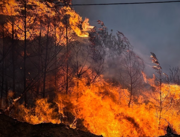 Συναγερμός για φωτιά στη Ρόδο – Στη μάχη της κατάσβεσης και ελικόπτερο