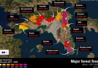 Nearly 40% of Attica’s Forests Burned in Nine Years