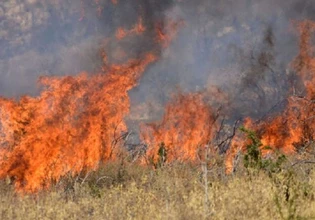 Φωτιά στο Παλαιοχώρι Φθιώτιδας – Επιχειρούν 6 εναέρια μέσα