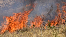 Φωτιά στη Σκάλα Ερεσσού στη Λέσβο – Σηκώθηκαν 4 εναέρια μέσα