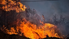 Πολύ υψηλός κίνδυνος πυρκαγιάς την Πέμπτη σε Κρήτη και νησιά της Περιφέρειας Βορείου Αιγαίου