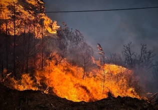 Τρεις συλλήψεις για πυρκαγιές από αμέλεια σε Πρέβεζα και Χαλκιδική