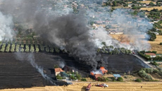 Φωτιά στη Νέα Καλλικράτεια Χαλκιδικής – Δίπλα σε σπίτια οι φλόγες – Μήνυμα από το 112 για εκκένωση δύο οικισμών