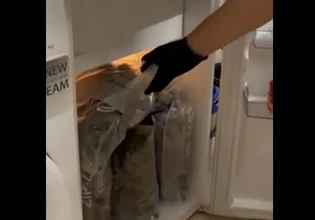 Εργαστήριο καλλιέργειας κάνναβης εντοπίστηκε στην Κινέτα – Συνελήφθησαν δύο άτομα