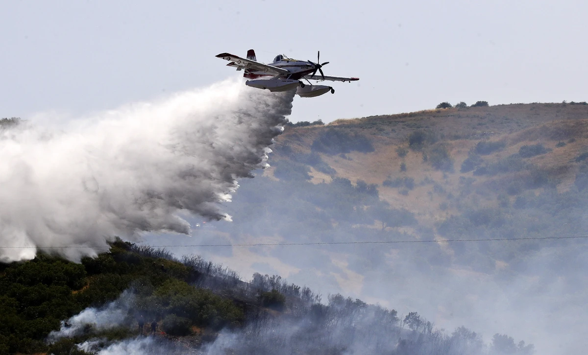 Από γεωργικές εργασίες ξεκίνησε η φωτιά στο Δερβένι Θεσσαλονίκης – Συνελήφθη ένας άνδρας