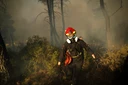 Φωτιά: «Πορτοκαλί» συναγερμός τη Δευτέρα – Οι περιοχές όπου συνιστάται αυξημένη επαγρύπνηση