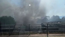Φωτιά στο Πλατάνι Πάτρας – Σηκώθηκαν εναέρια μέσα, διακοπή της κυκλοφορίας
