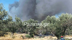 Φωτιά στα Πολιτικά Ευβοίας – Αντιμετωπίστηκε σε 30 λεπτά