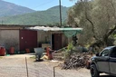 Ρέθυμνο: Εξιχνιάστηκε η υπόθεση με το κόψιμο της γλώσσας κτηνοτρόφου – Τέσσερα εντάλματα σύλληψης