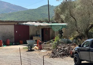 Ρέθυμνο: Εξιχνιάστηκε η υπόθεση με το κόψιμο της γλώσσας κτηνοτρόφου – Τέσσερα εντάλματα σύλληψης