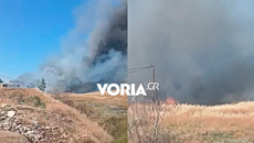 Χωρίς ενεργό μέτωπο η φωτιά έξω από τα Διαβατά Θεσσαλονίκης – Ήχησε νωρίτερα το 112