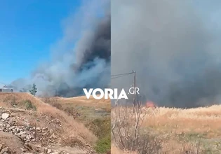 Φωτιά κοντά σε βιομηχανική περιοχή στα Διαβατά Θεσσαλονίκης – Ήχησε το 112
