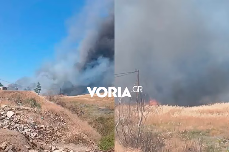 Φωτιά κοντά σε βιομηχανική περιοχή στα Διαβατά Θεσσαλονίκης - Ήχησε το 112