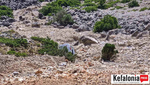 Τραγωδία στην Κεφαλονιά: Νεκρός πατέρας δύο παιδιών, έπεσε με το αυτοκίνητό του σε χαράδρα – To αποχαιρετιστήριο μήνυμά του