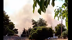 Φωτιά στην Αγία Ελένη Τροιζηνίας – Εντολή εκκένωσης από το 112 – Σηκώθηκαν 6 εναέρια μέσα