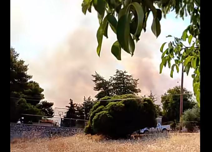 Φωτά στην Αγία Ελένη Τροιζήνας - Ήχησε το 112 - Σηκώθηκαν 6 εναέρια μέσα