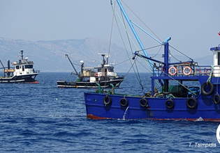 Το Αιγαίο που πληγώναμε: Παράνομη αλιεία από τουρκικές μηχανότρατες καταγγέλλει το «Αρχιπέλαγος»