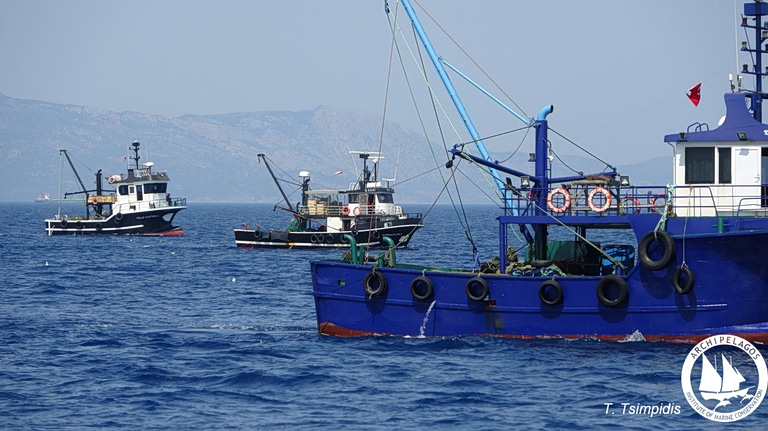 Το Αιγαίο που πληγώναμε: Παράνομη αλιεία από τουρκικές μηχανότρατες καταγγέλλει το «Αρχιπέλαγος»