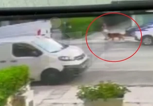 Βριλήσσια: Η στιγμή που απομακρύνεται ο σκύλος που επιτέθηκε στον 66χρονο και στο μικρόσωμο σκυλάκι του