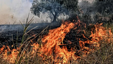 Φωτιά στους Νέους Επιβάτες Θεσσαλονίκης – Ήχησε το 112