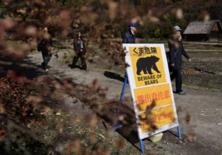 Η Ιαπωνία τοποθετεί κάμερες για την παρακολούθηση αρκούδων στα βουνά, καθώς αυξάνονται οι επιθέσεις