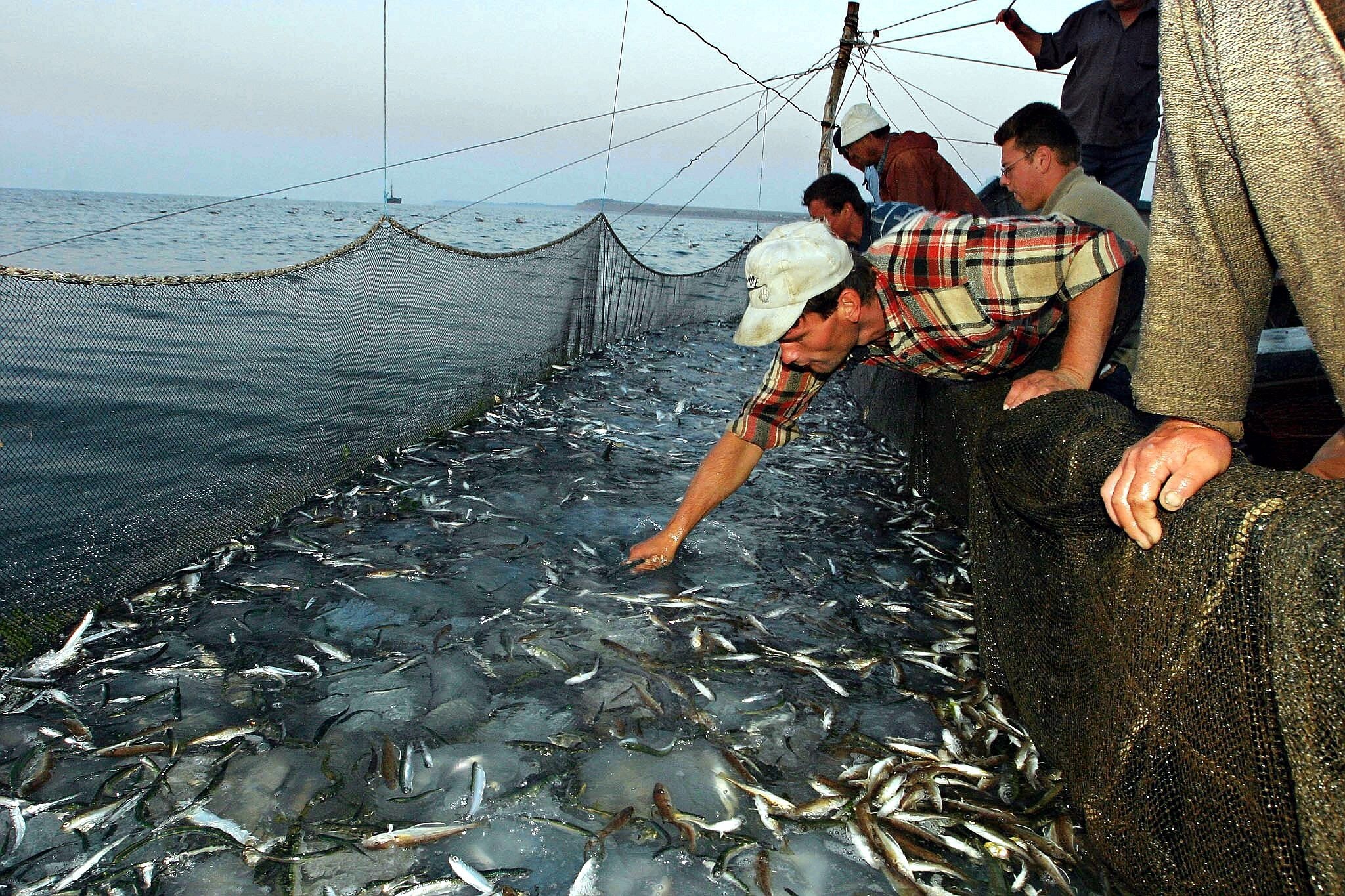 Разрешенный лов рыбы